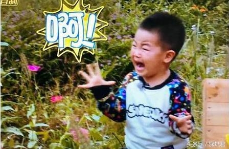 爸爸4不捧韩国棒子捧香港黑道了？向华强向太收留他做孙子