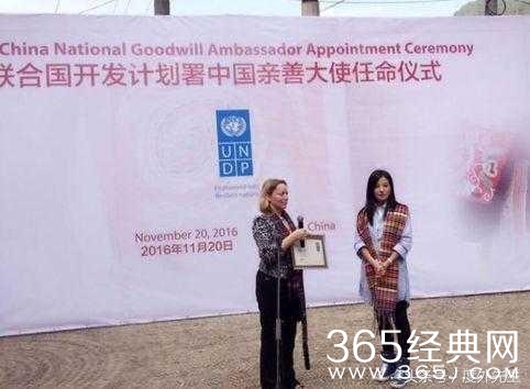 被黑后的赵薇如今被命名为中国亲善大使