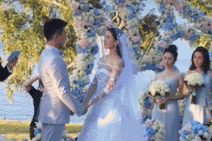 刘诗诗、陈晓、霍建华...2016年大婚的明星哪对甜到你？