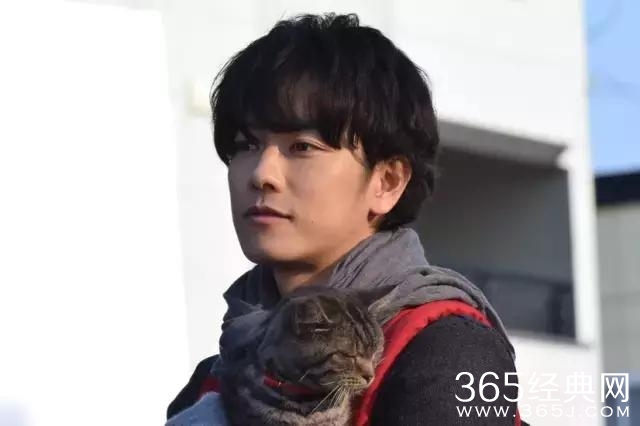 这部把猫奴骗进来的电影，竟然看得我掉泪