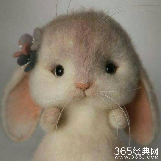 从李晨范冰冰6组微博头像变更，看两人关系变化