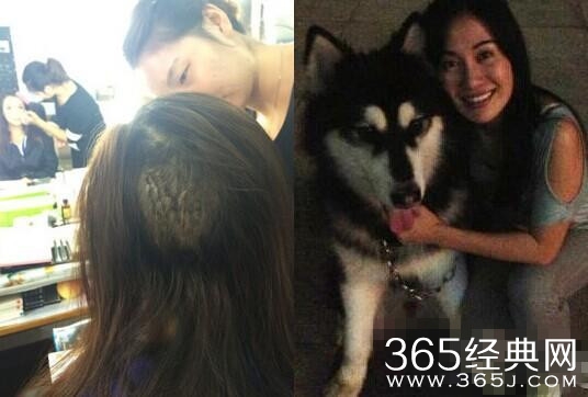 李依晓叶璇宠物狗伤人事件结束 叶璇申诉李依晓未出席