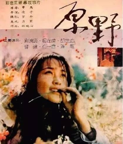 这是国内第一部因「色」情被禁的电影