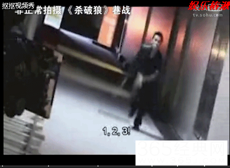 甄子丹暗讽吴京花拳绣腿不配做功夫巨星？李小龙功夫并非天下第一