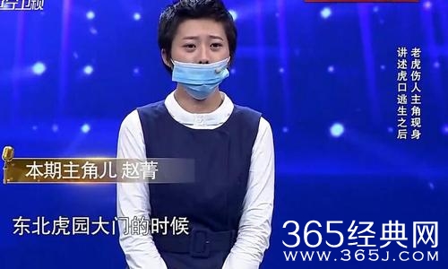 被虎咬伤女子上电视说了什么 被虎咬伤女子认错了吗