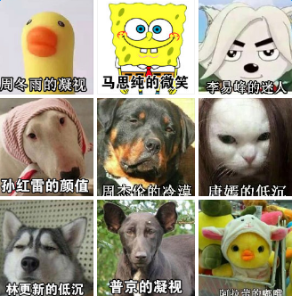 神似明星的表情包有哪些 周冬雨的凝视马思纯的微笑是什么