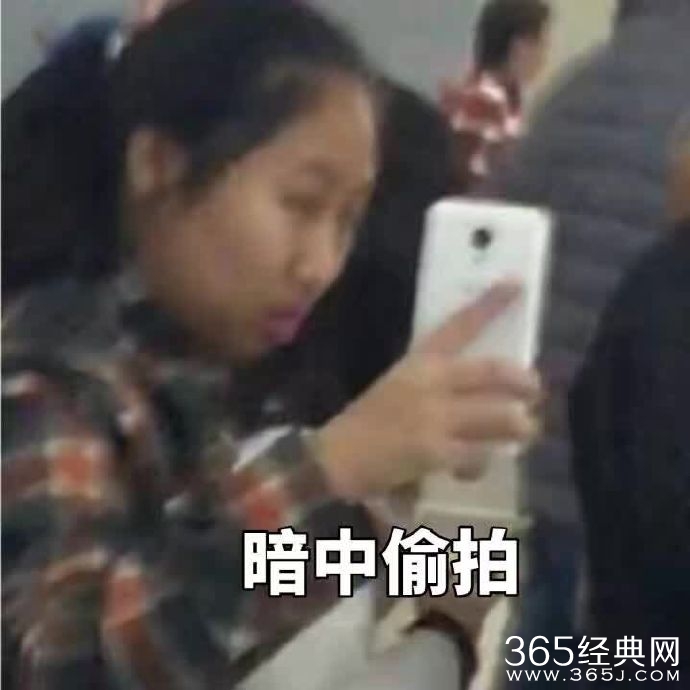 虹桥一姐是谁 虹桥一姐表情包