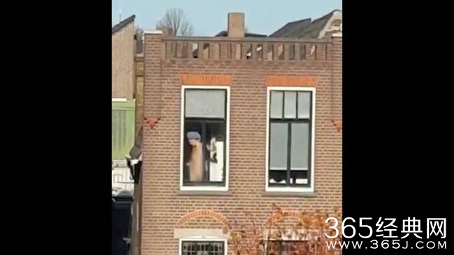 荷兰妹子洗澡不拉窗帘 被对面工地的民工拍下全裸图