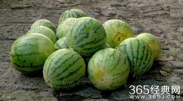 杨幂亲爱的翻译官竟然发现穿帮镜头