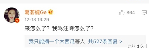 葛荟婕汪峰之间有什么恩怨 葛荟婕汪峰什么关系