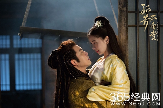 钟汉良孤芳不自赏在哪可以看 钟汉良孤芳不自赏播放平台