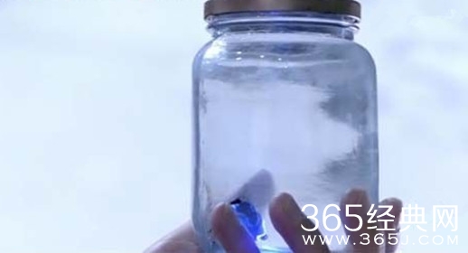 鬼吹灯之精绝古城火瓢虫真实存在吗 鬼吹灯之精绝古城火瓢虫谜团揭秘