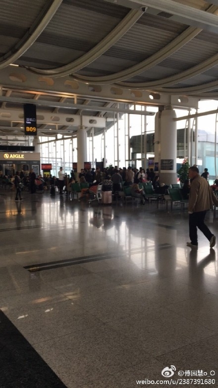 傅园慧发博怒怼飞机延误 傅园慧因雾霾机场延误七个小时