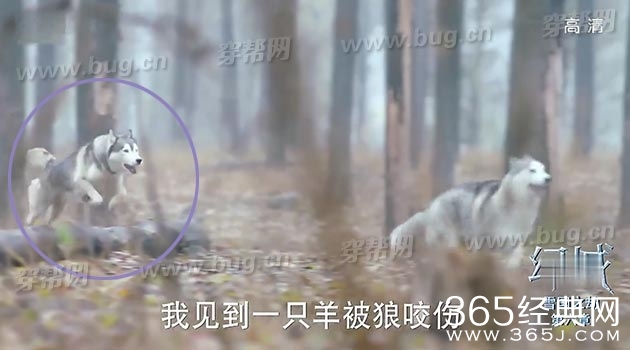 冯绍峰宋茜幻城竟然了穿帮镜头