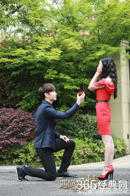 遇见爱情的利先生什么时候更新 遇见爱情的利先生每周更新几集