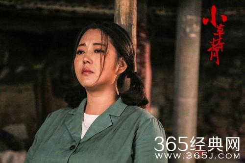 小草青青全集在哪可以看 小草青青全集在线观看地址