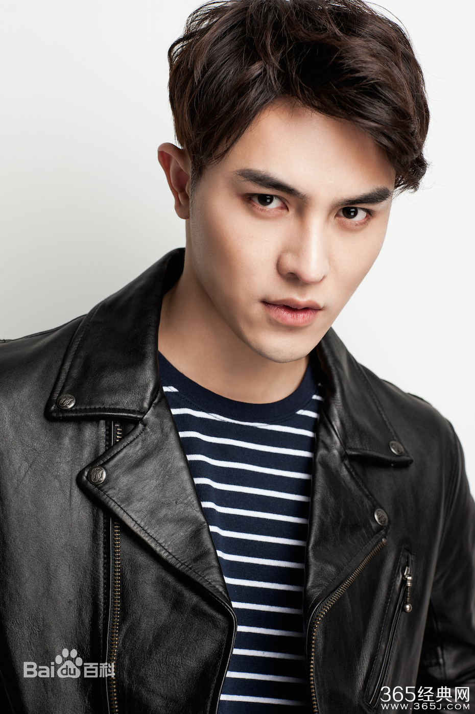 寻找前世之旅飞鸟演员是谁 寻找前世之旅飞鸟演员资料