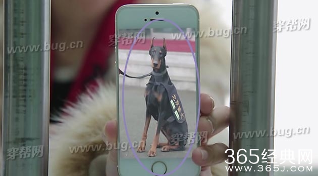 于和伟电视剧警花与警犬竟然发现好多穿帮镜头