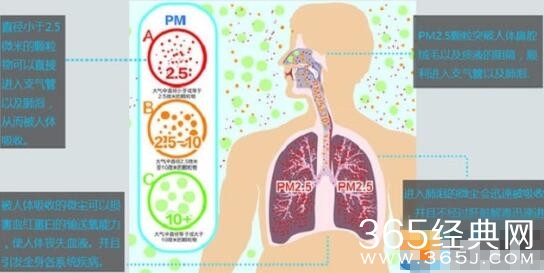 雾霾吸入身体永远排不出是真的吗 协和专家辟谣