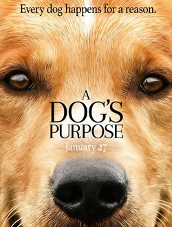 2017年春节档电影推荐 2017年1月有哪些电影上映