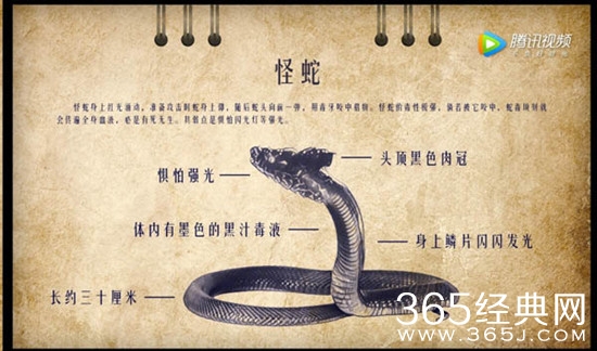 鬼吹灯之精绝古城郝爱国是怎么死的 鬼吹灯之精绝古城为什么会死