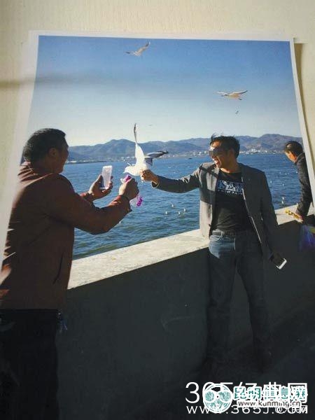 游客抓海鸥拍照 被保安制止后摔断海鸥翅膀