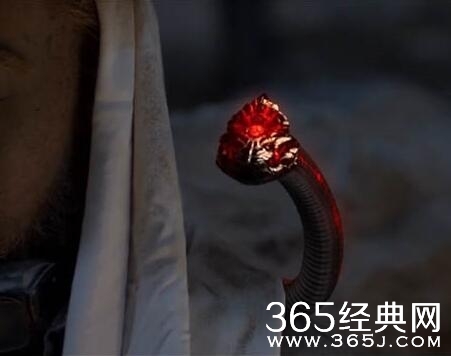 鬼吹灯之精绝古城咬死郝教授是什么蛇 鬼吹灯之精绝古城怪蛇来历介绍