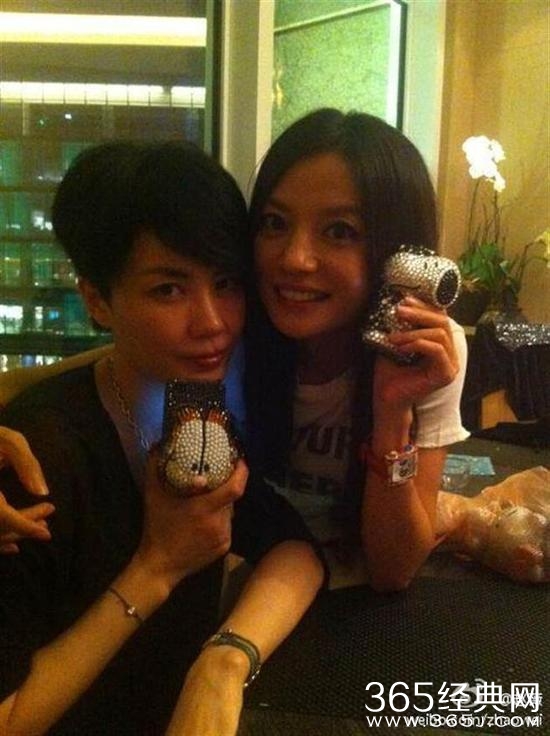 王菲用赵薇作掩护 与谢霆锋香港筑爱巢