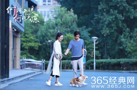 何所冬暖何所夏凉剧情怎么样 何所冬暖何所夏凉大结局是什么