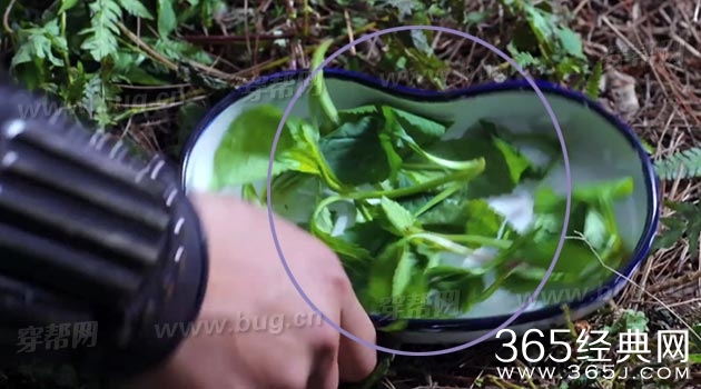 孙艺洲怒江之战居然发现了穿帮镜头