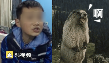 小学生辱骂老师两分钟视频图片 小学生辱骂老师两分钟词不重复