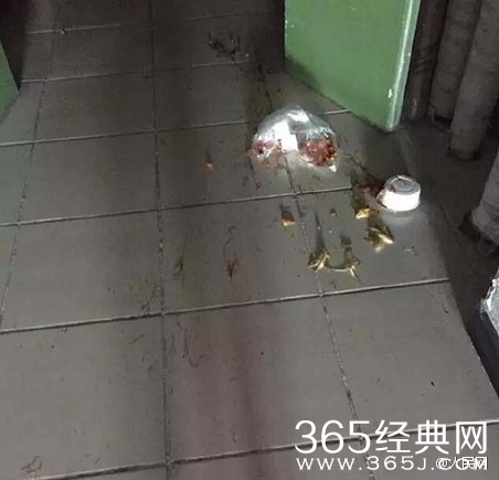 女子因餐品变凉投诉送餐员 不料饭菜被倒在家门口