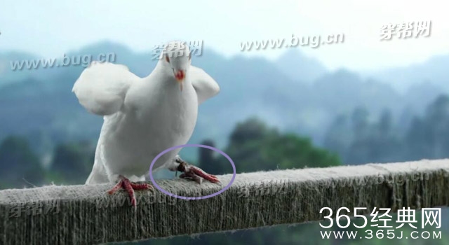 琅琊榜竟然发现多处穿帮镜头