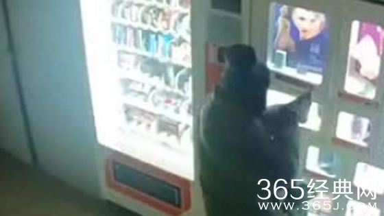 偷个女友过鸡年 男子夜盗充气娃娃