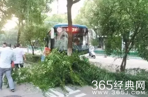 女子坐公交因差1块钱殴打司机致车失控获刑