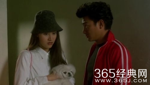 电影黑马王子经典台词