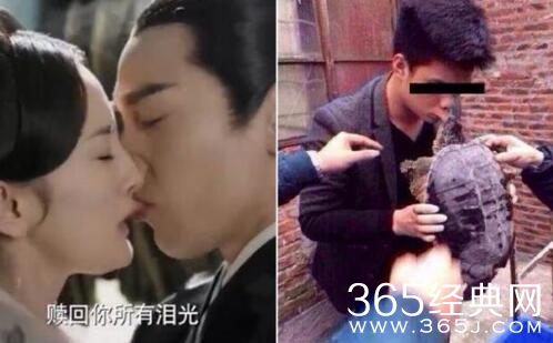 赵又廷拍戏咬唇激吻杨幂 神似王八咬嘴唇照片