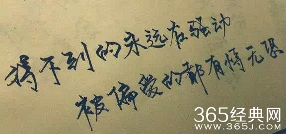 很多时候因为得不到所以假装不想要