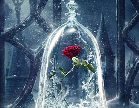 美女与野兽玫瑰花代表什么意思 美女与野兽里的玫瑰花含义介绍