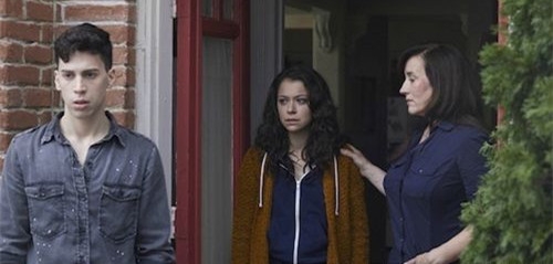 黑色孤儿什么时候播出 黑色孤儿剧情介绍