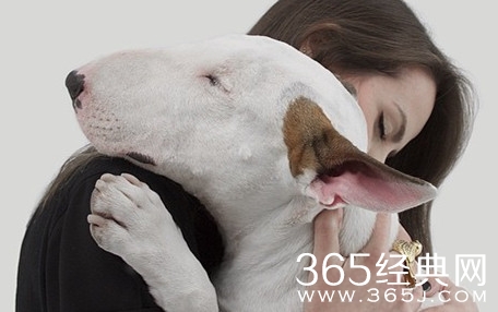 创伤都是一种成熟伤感到心疼的句子