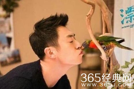 漂洋过海来看你朱亚文头上的鹦鹉是什么品种的 漂洋过海来看你朱亚文头上的鹦鹉多少钱