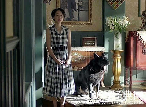 剃刀边缘黑狗太郎是什么品种呢 剃刀边缘剃刀就是太郎是怎么回事