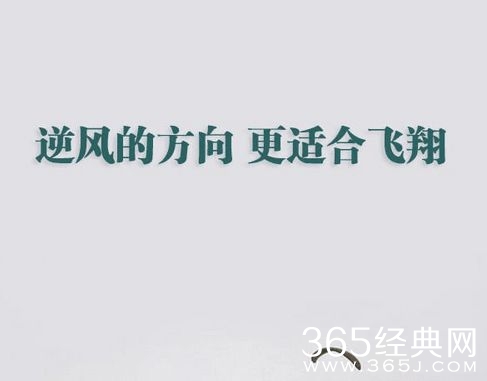 爱生活，爱生命