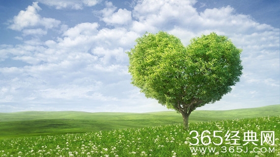 恋爱须知道的道理