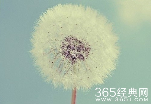 人生就是一场生下来然后努力活下去的意义