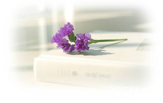 美貌只能锦上添花底气才能光芒万丈