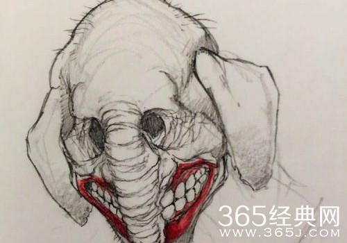 美国犯罪故事将改名了吗 美国犯罪故事改什么名字了