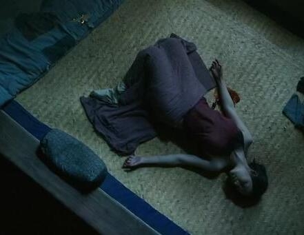 白鹿原田小娥第几集出现 白鹿原田小娥最后死了吗