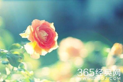 我要走向明天，我要开拓我的明天